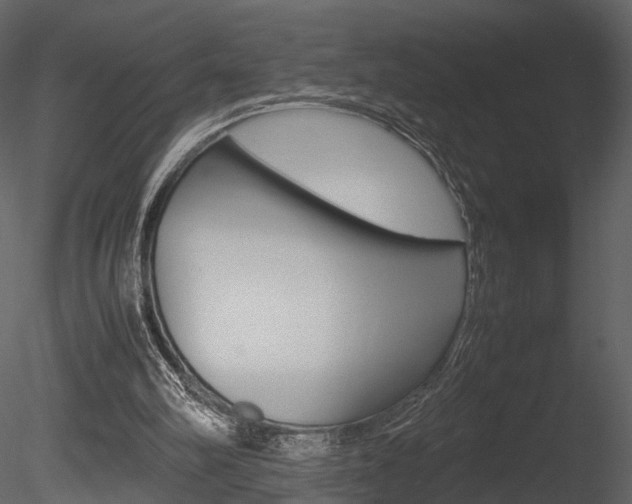 X0000085730102200703160847