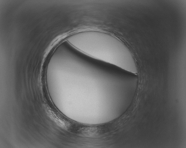 X0000085730104200703160847