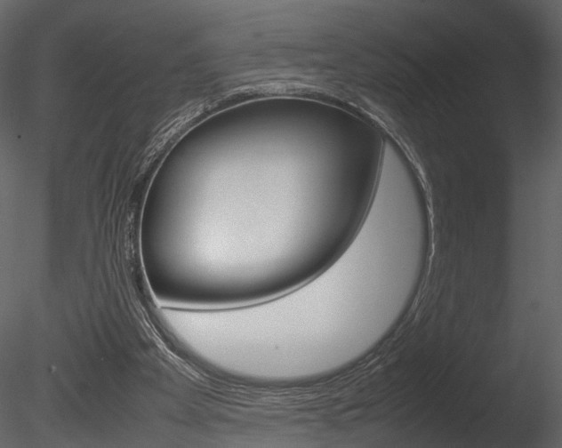 X0000085730105200703160847