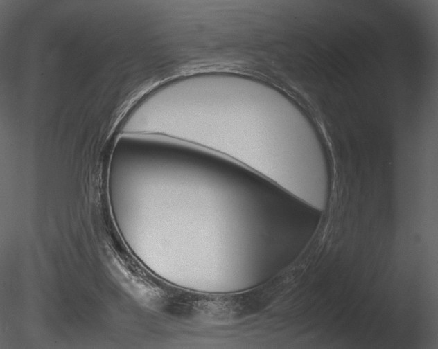 X0000085730107200703160847