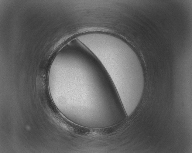 X0000085730111200703160847