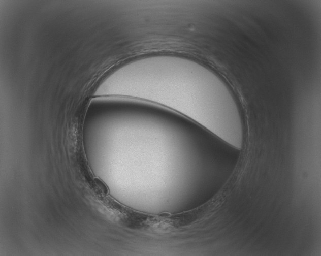 X0000085730113200703160847