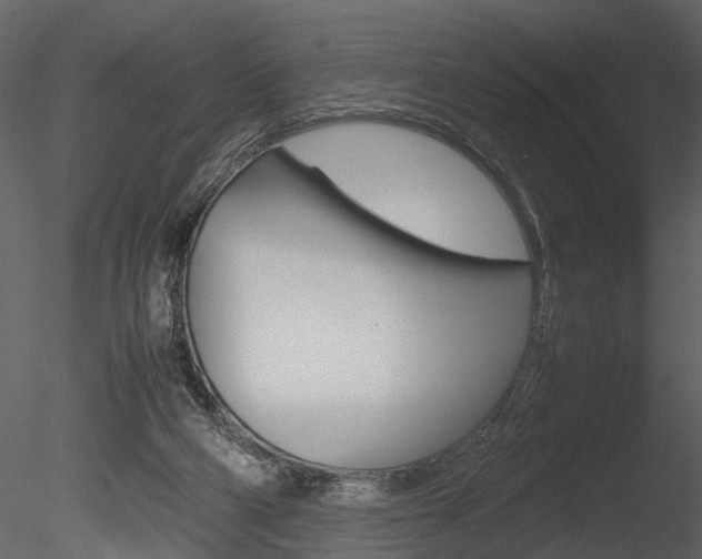 X0000085730114200703160847