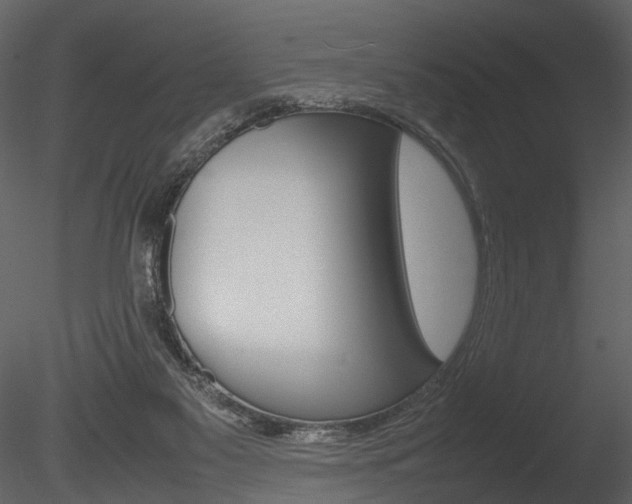 X0000085730117200703160847