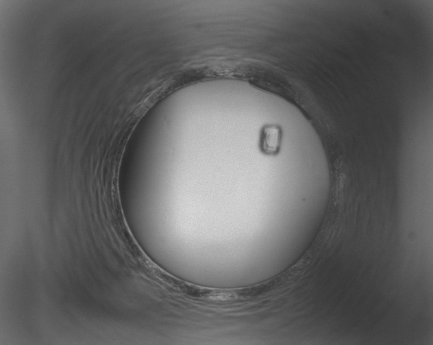 X0000085730121200703160847
