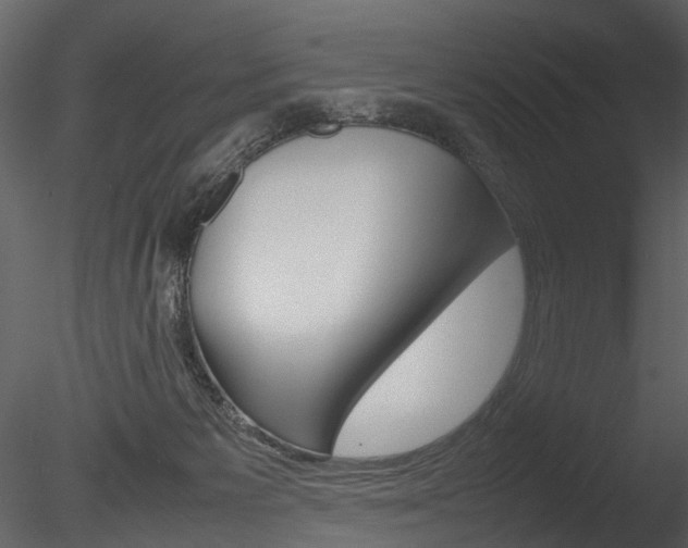 X0000085730125200703160847
