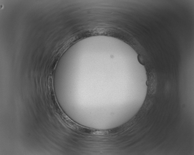 X0000085730126200703160847