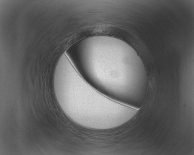 X0000085730127200703160847