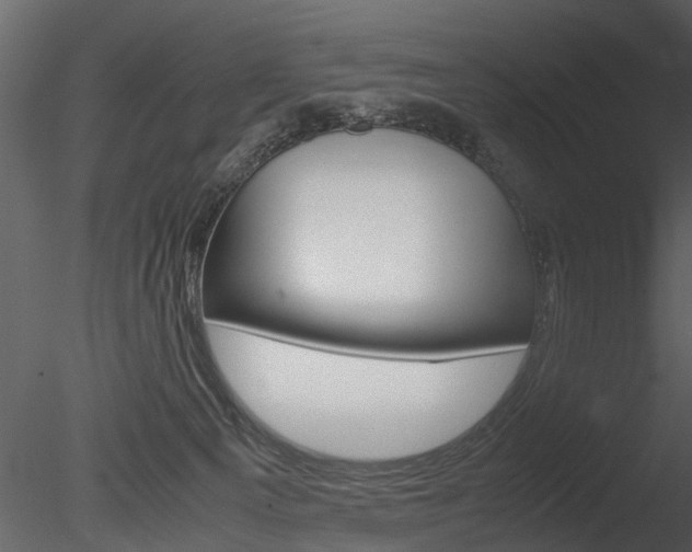 X0000085730129200703160847