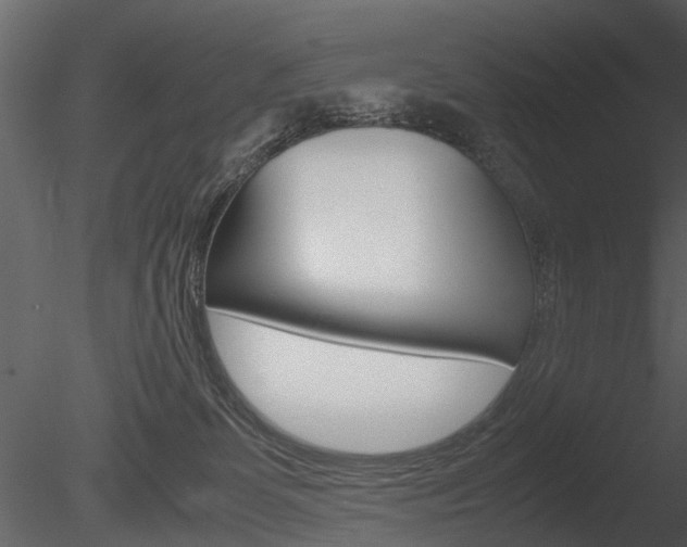 X0000085730131200703160847
