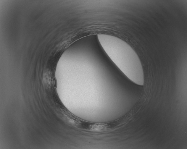 X0000085730135200703160846