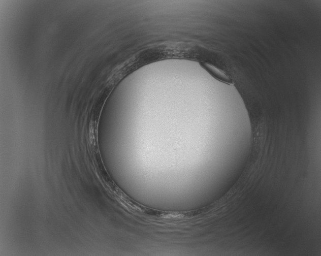 X0000085730137200703160846