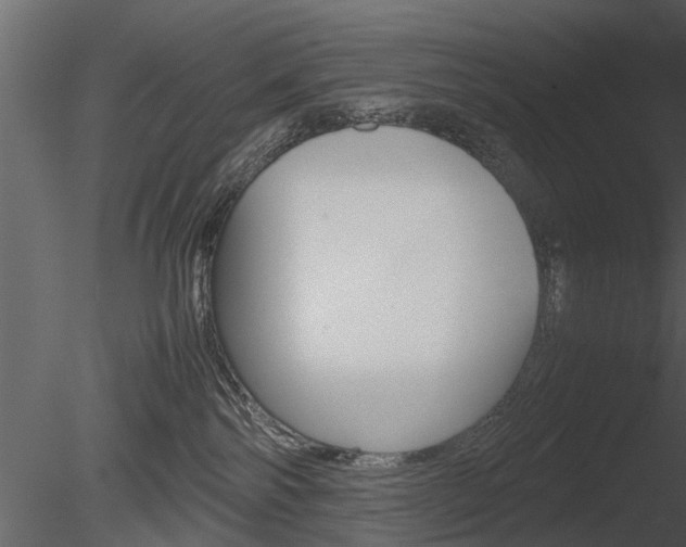 X0000085730138200703160846
