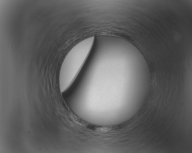 X0000085730139200703160846