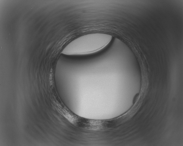 X0000085730144200703160846