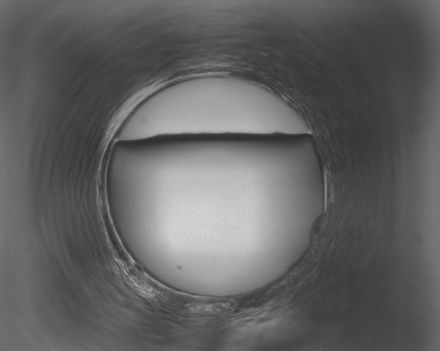 X0000085730147200703160846