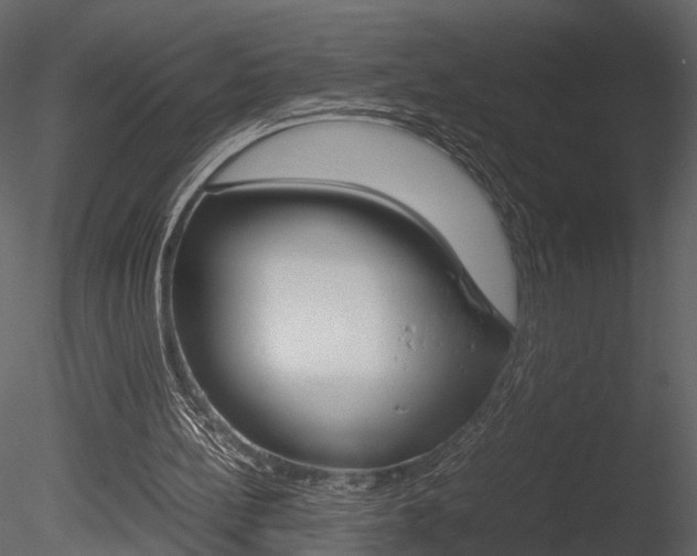 X0000085730148200703160846