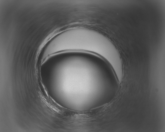 X0000085730150200703160846