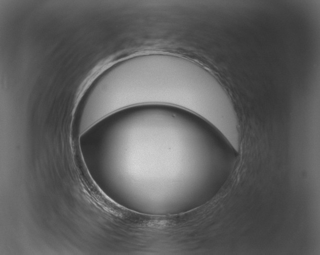 X0000085730152200703160846