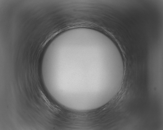 X0000085730154200703160846