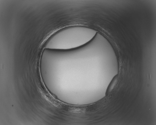 X0000085730155200703160846