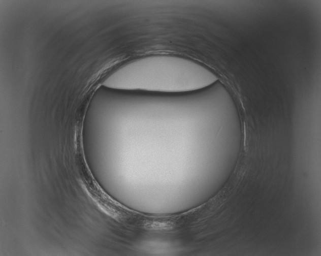 X0000085730157200703160846