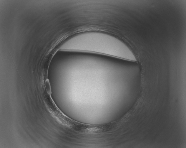 X0000085730158200703160846