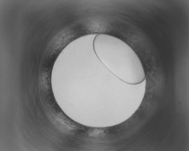 X0000085730162200703160846