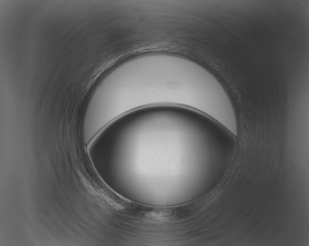 X0000085730164200703160846