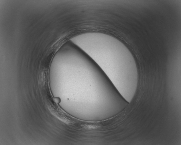 X0000085730165200703160846