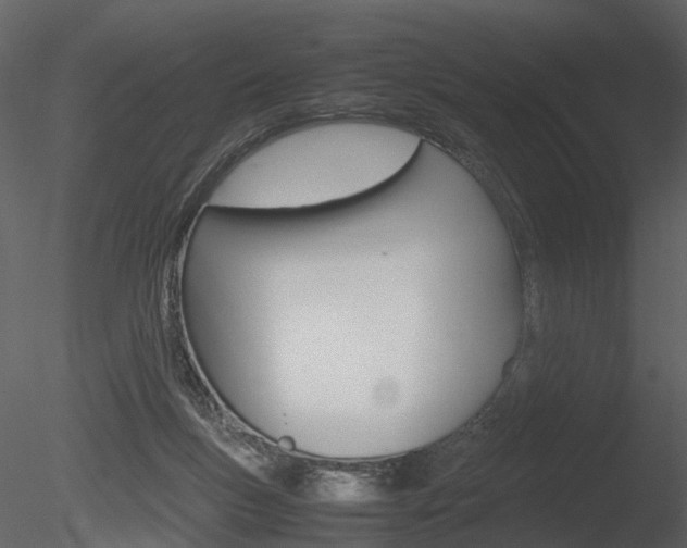 X0000085730167200703160846