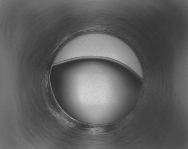 X0000085730168200703160846