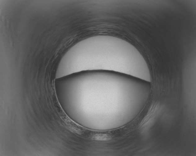 X0000085730169200703160846