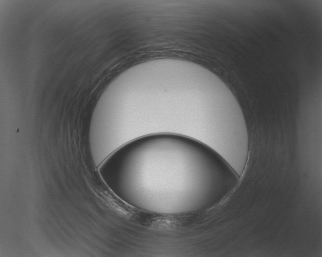 X0000085730174200703160846