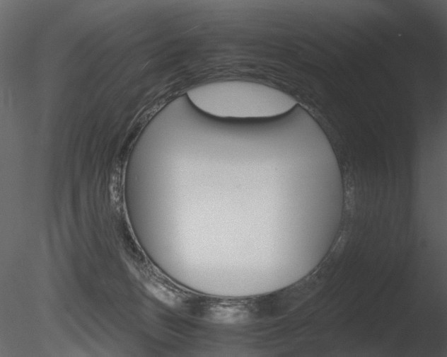 X0000085730175200703160846