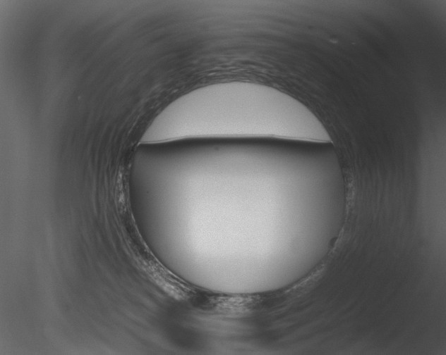 X0000085730182200703160846