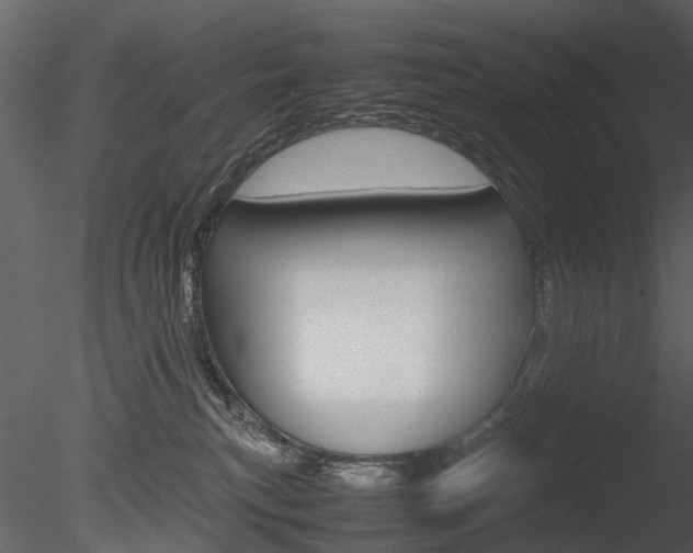 X0000085730183200703160846