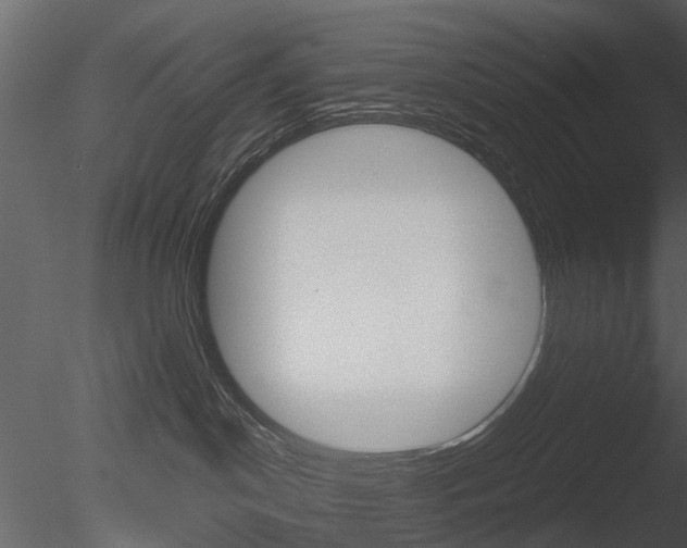 X0000085730190200703160846