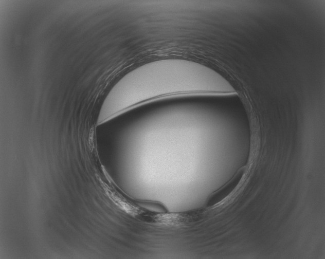 X0000085730192200703160846