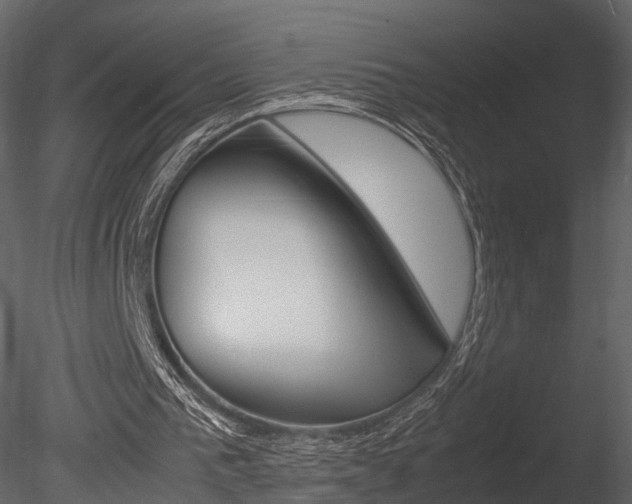 X0000085730193200703160845