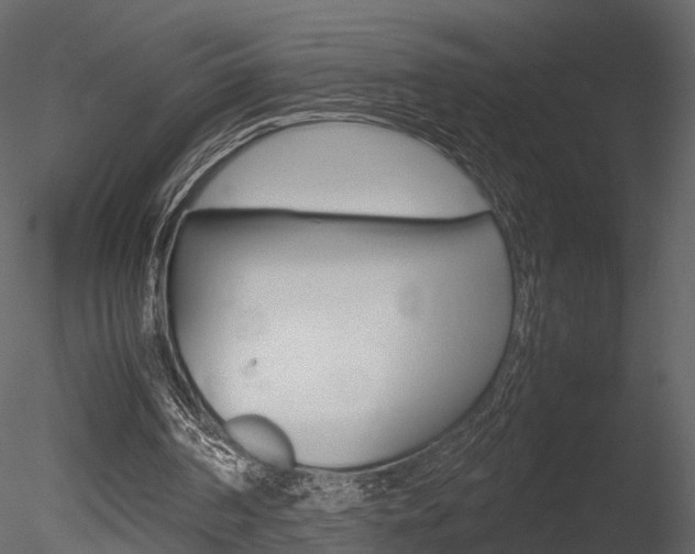 X0000085730194200703160845