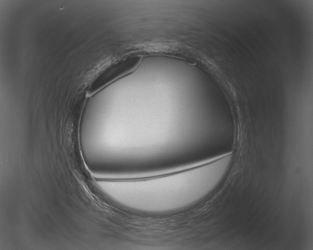X0000085730201200703160845