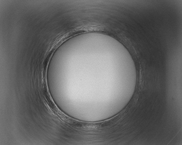 X0000085730202200703160845