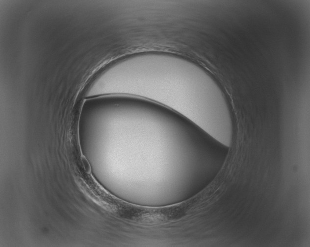 X0000085730203200703160845