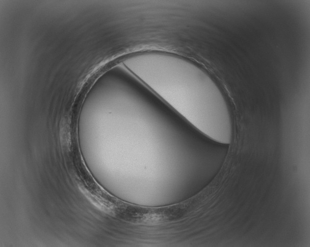 X0000085730204200703160845