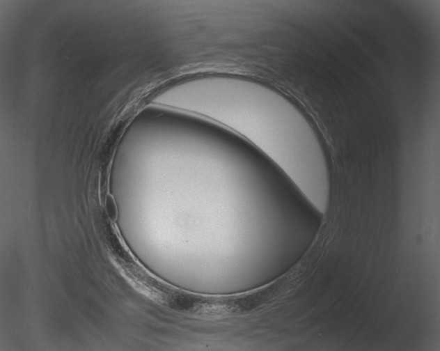 X0000085730205200703160845