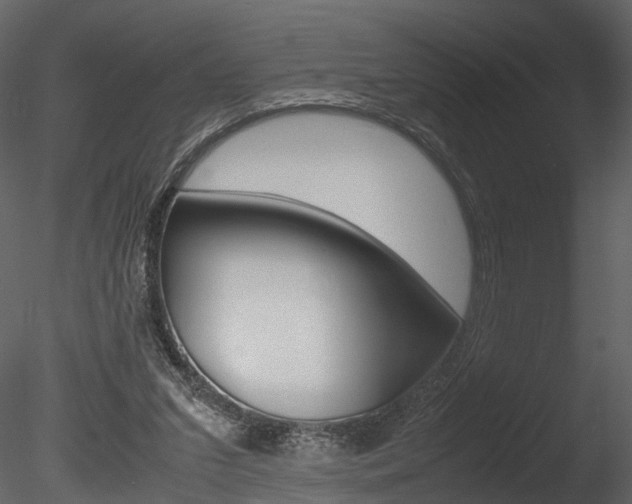 X0000085730207200703160845