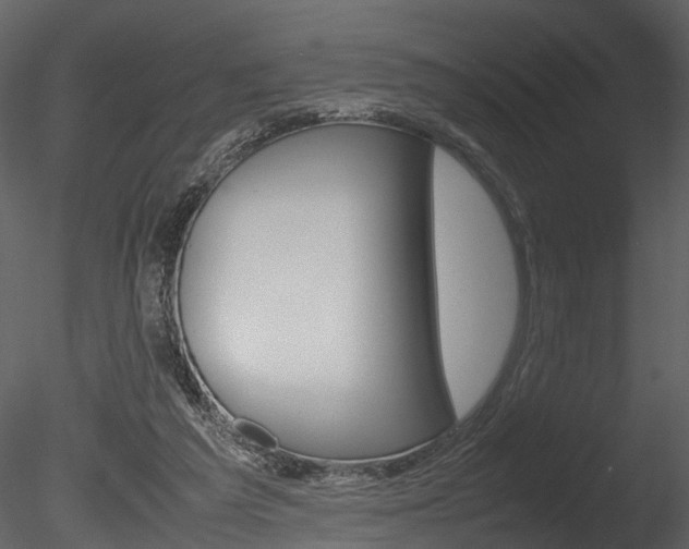 X0000085730209200703160845