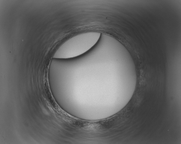 X0000085730210200703160845