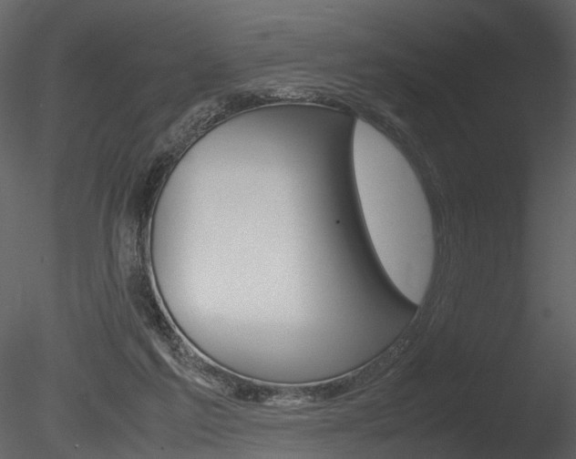 X0000085730213200703160845